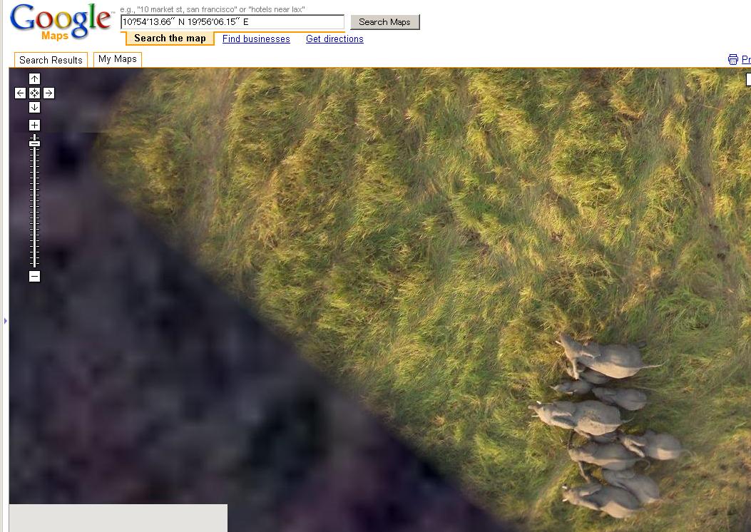 /images/Sheep02.jpg